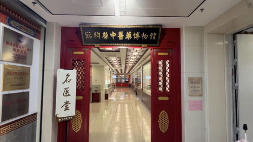 第二届“沂山论健”中医药与大健康新质生产力发展大会 聚焦中医诊所服务新篇章