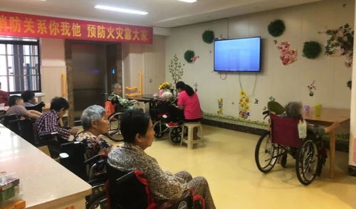 养老服务类型与人员术语解析 兼论中医诊所服务在养老体系中的角色